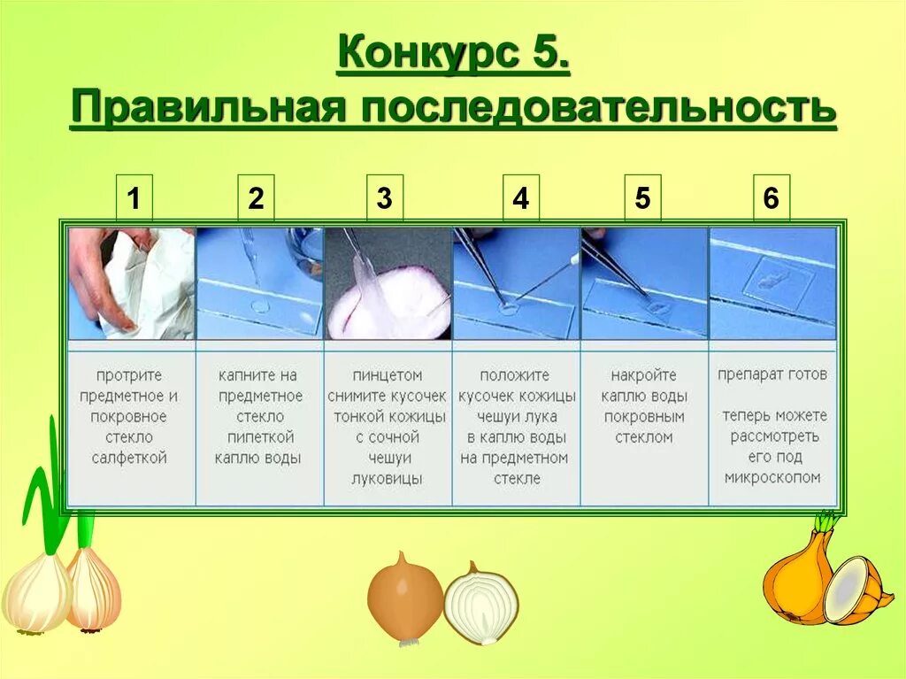 Какая правильная последовательность. Последовательность. Правильная последовательность клас. Правильно последовательность. Правильная последовательность 6с.