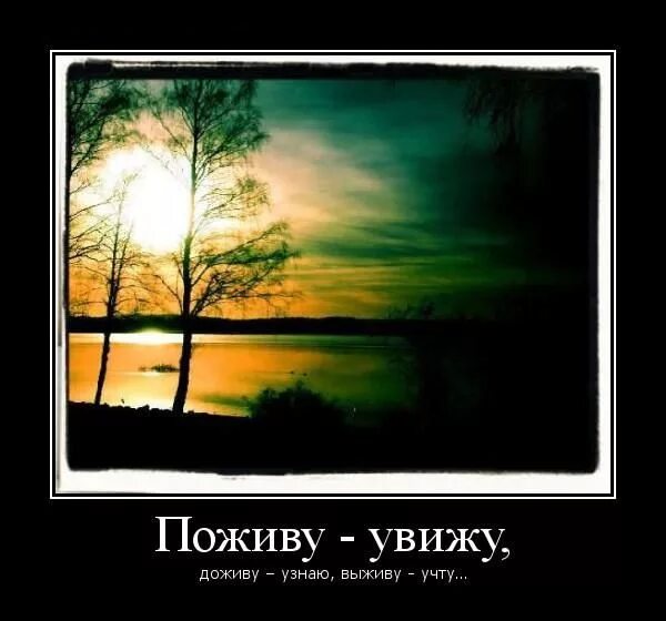 Пословица поживем увидим. Доживу узнаю выживу. Доживу узнаю выживу учту. Доживем увидим. Поживём увидим Доживём узнаем.