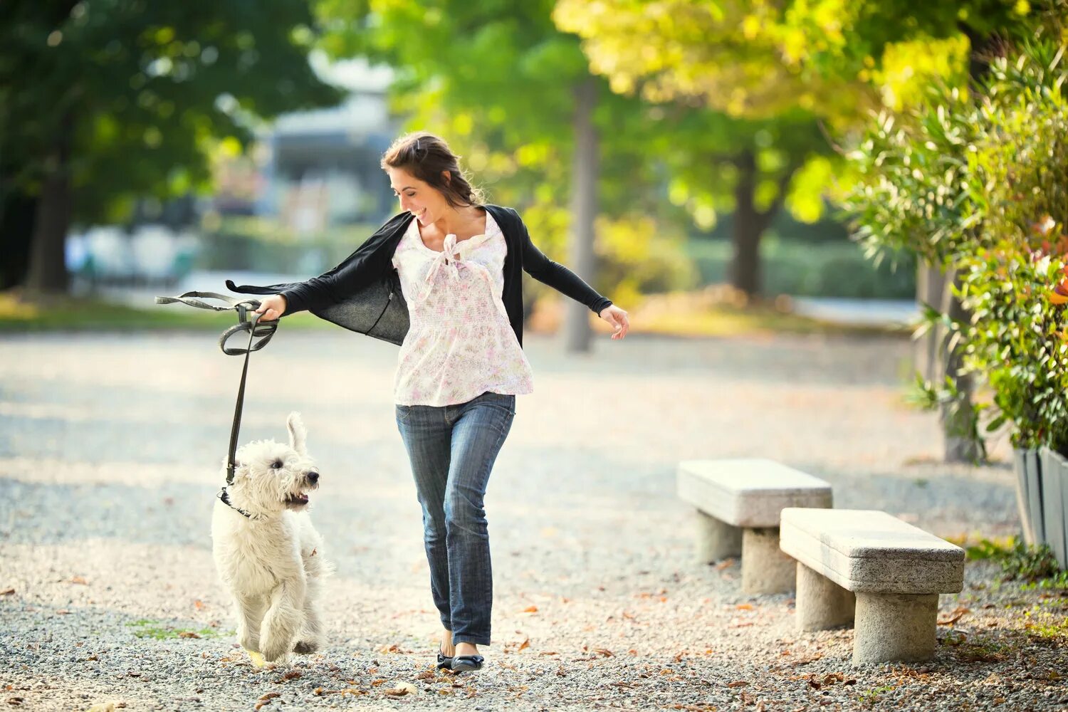 Walking pet. Прогулка с собакой. Гулять с собакой. Девушка гуляет с собакой. Фотосессия прогулка с собакой.