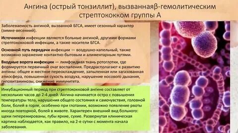 Гнойные бактериальные инфекции