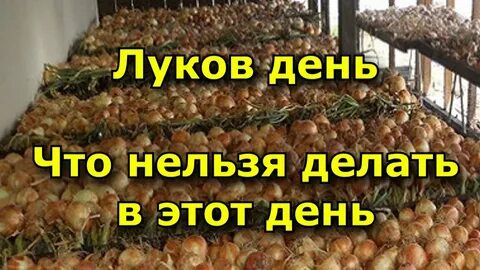 Когда луков день весной