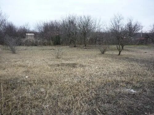 Снт авангард вареновка. Снт авангард вареновка. Вареновка приморка. Вареновка приморка. Село вареновка ростовская область.