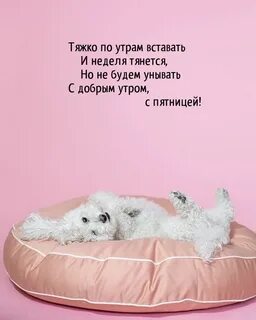 Доброго продуктивного
