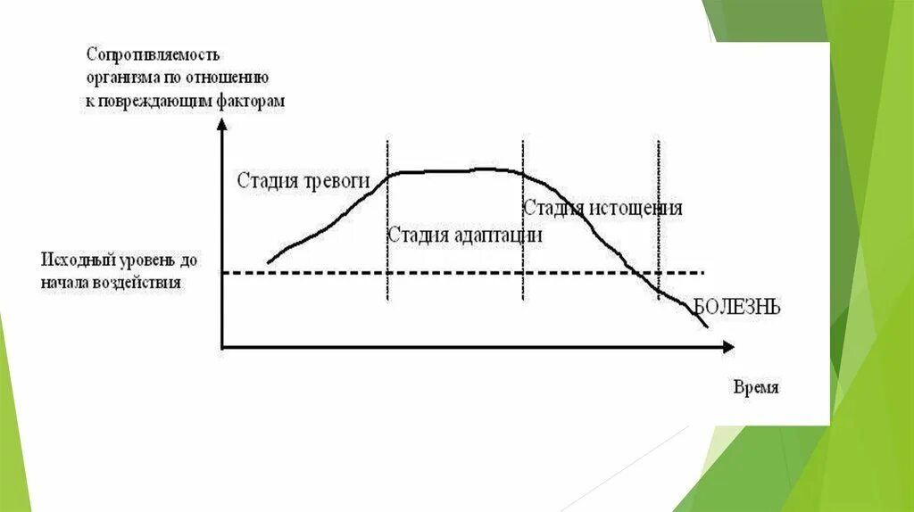 Стадия адаптации стресса. Сопротивляемость организма по отношению к повреждающим факторам. Стадия тревоги. Сопротивляемость организма по отношению к повереждащим фактора. Программа стресс менеджмента.