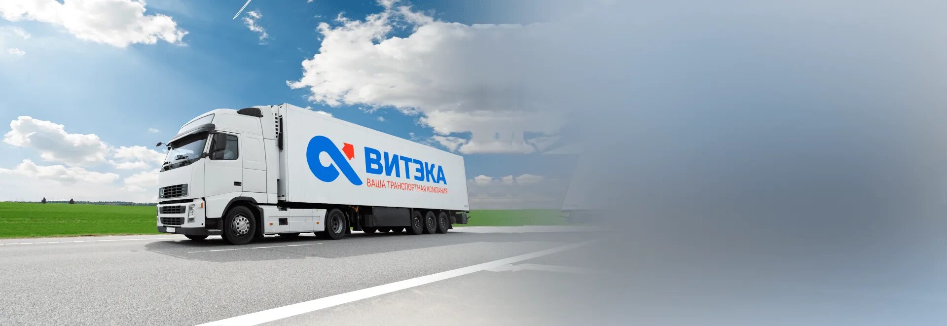 Витека транспортная компания екатеринбург. Тк витека. витэка транспортная. витэка логотип. транспортная компания витек.