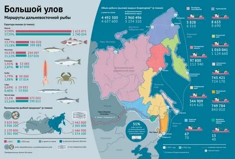 Камчатский край в цифрах