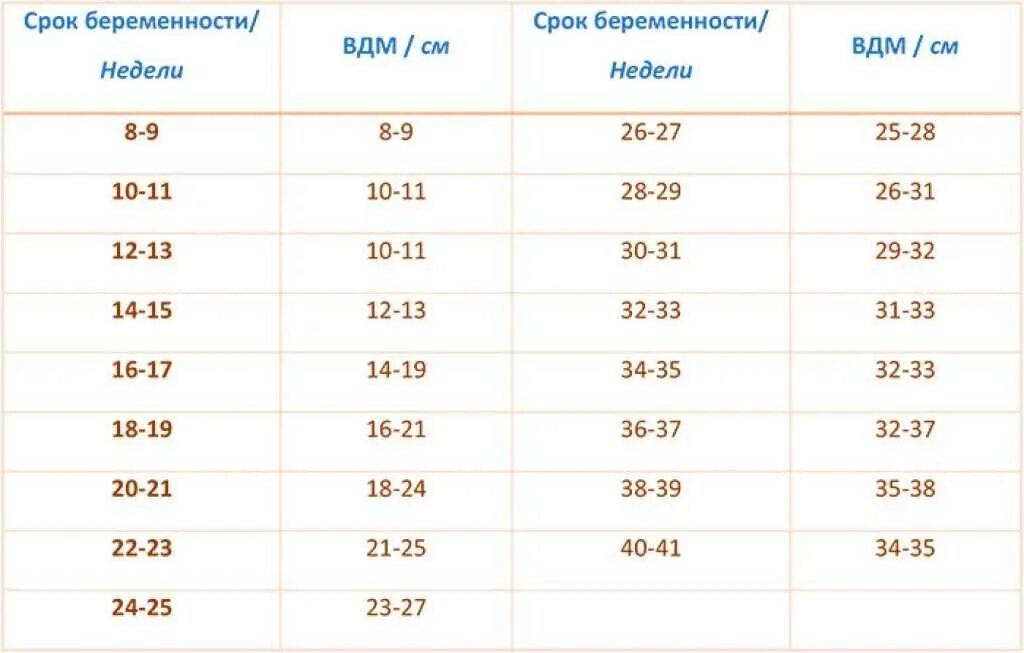 27 неделя беременности размеры. Высота дна матки при беременности по неделям таблица. Норма высоты стояния дна матки при беременности. Высота стояния дна матки по неделям беременности таблица норма. Высота дна матки по неделям беременности таблица норма.