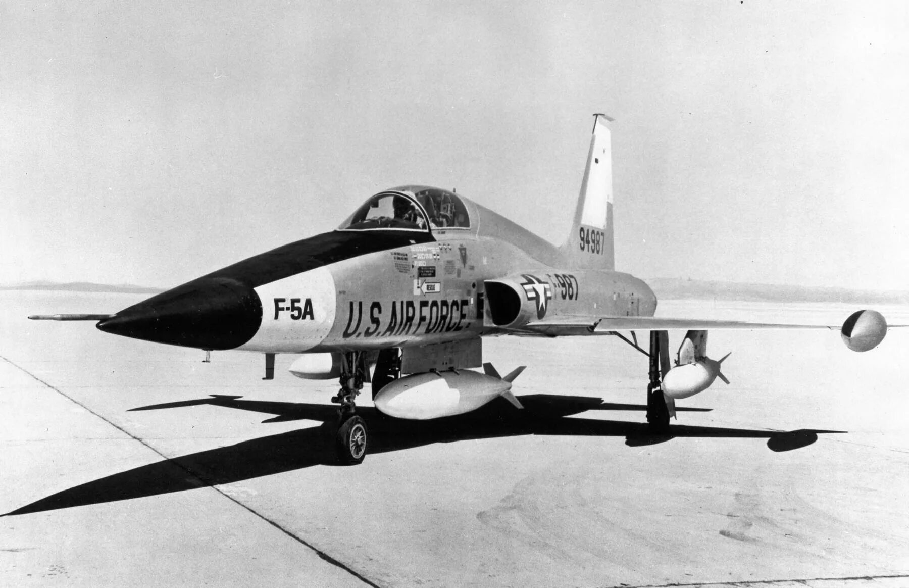 Ал ф 5. Northrop f-5. Самолет ф5е Тайгер. F-5e Tiger II. F5 самолет.