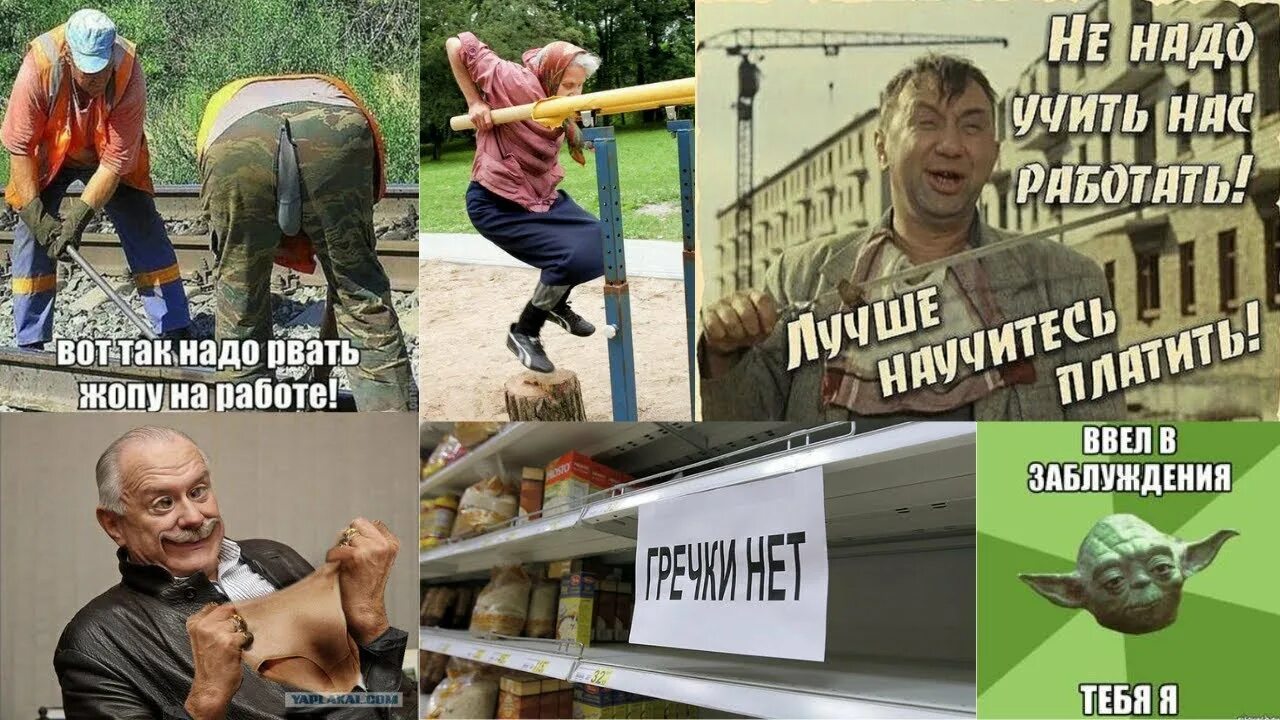 Гоняй лысого мем. Кот платон и собака булька. Лысый мем. Мама ама криминал мем. Кот бьет собаку.