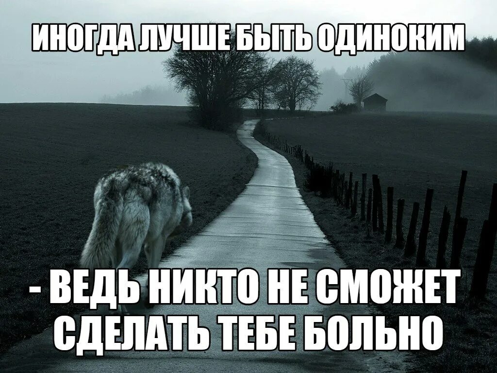 Лучше быть прямым. Иногда лучше быть одной. иногда лучше быть одиноким. больно быть одиноким. не быть одиноким.