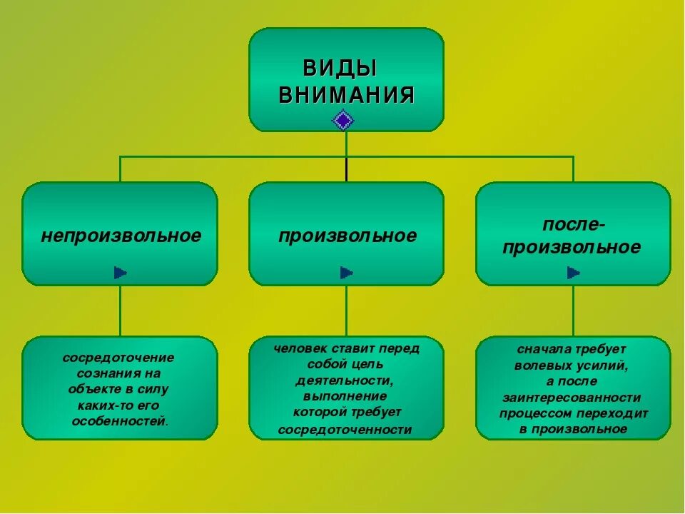 Основном связано. Перечислите основные виды внимания. Основные виды внимания (непроизвольное, произвольное). Виды внимания схема. Виды внимания в психологии.