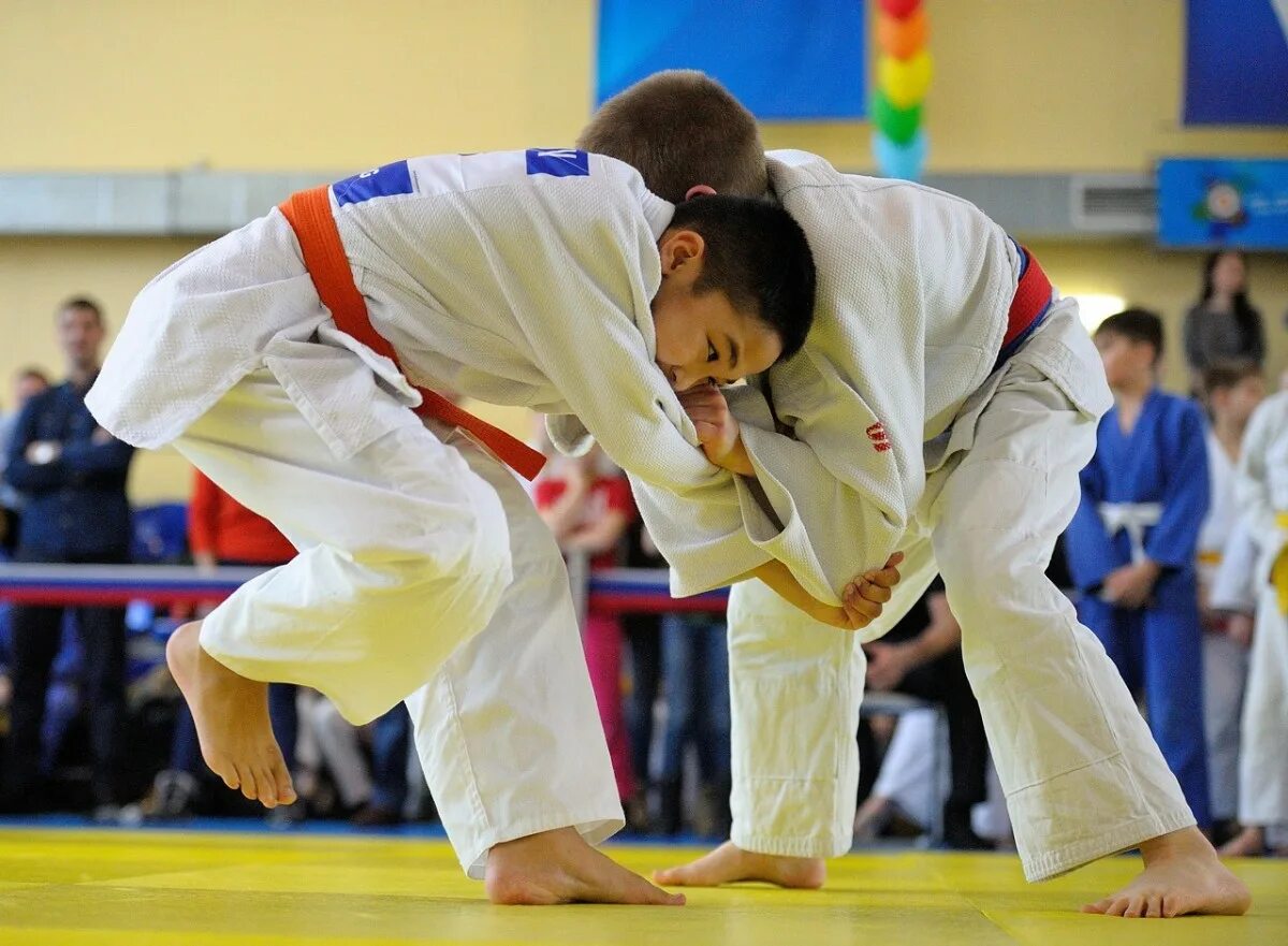 командные соревнования по дзюдо