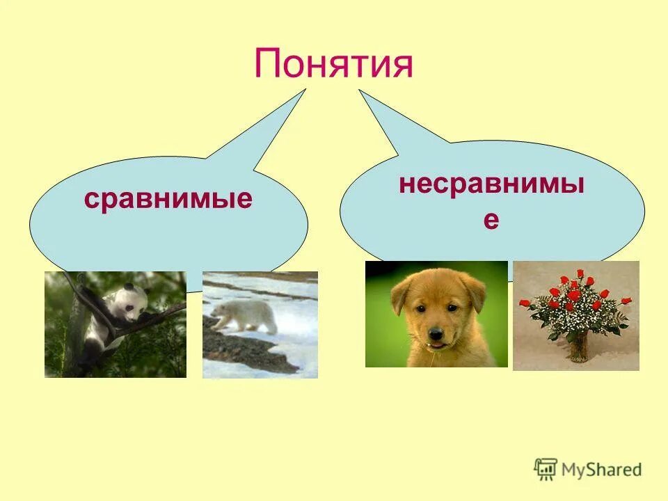 Сравнимое впечатление. Отношения между понятиями. Отношения между понятиями в логике схема. Отношения между понятиями в логике схема. Сравнимые и несравнимые понятия.