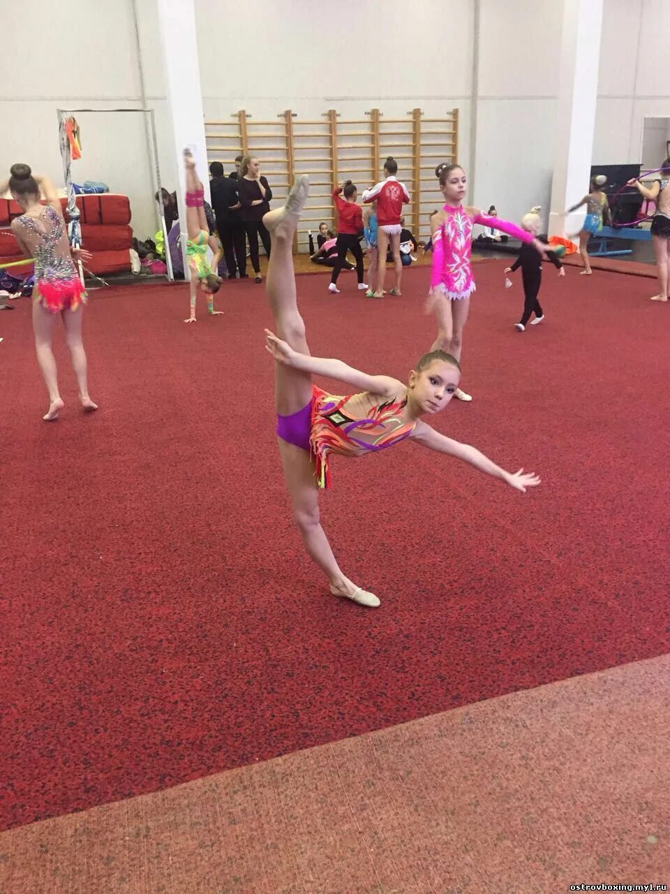 мгафк малаховка гимнастика. зал спортивной гимнастики малаховка мгафк. зал спортивной гимнастики город пущино. художественная гимнастика малаховка мгафк. гимнастика малаховка.