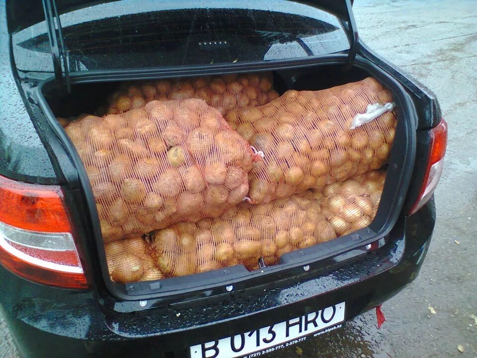Мешок картошки сколько кг. Мешок картошки в багажнике. Машина с картошкой в багажнике. Полный багажник картошки. Машина для перевозки картошки.