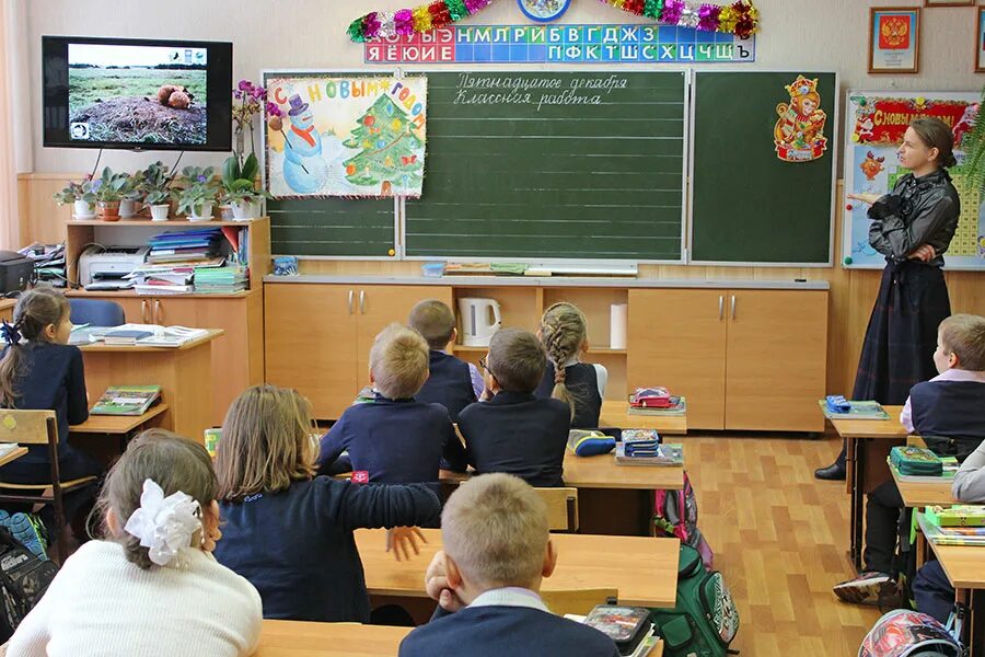 Кот выпускной со школы. Дети в школе 2021. Первоклассники школа 6 кущевская. Школа номер 5 город курск. Дети в школе 2021.