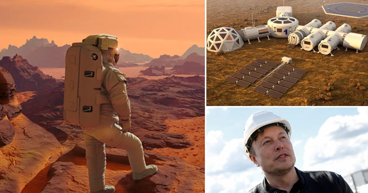 Илон маск отправляет людей на марс. Колонизация Марса Илон Маск. Илон Маск Марс колонизация проект.