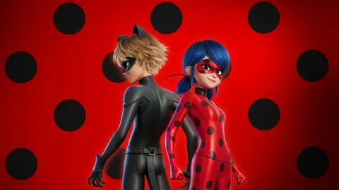 Lady bag and the cat noir