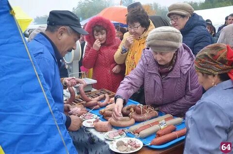 Погода в александрове гае саратовская