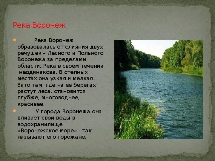 О какой реке в рассказе идет речь. Сообщение о реке Воронеж. Доклад про реку Воронеж. Презентация на тему река Воронеж. Сообщение про реку Воронежского края.