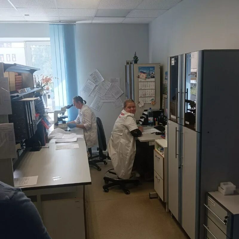 североморское межрегиональное управление. россельхознадзор южное межрегиональное управление. россельхознадзор московская область. федеральная служба по ветеринарному и фитосанитарному надзору. североморское межрегиональное управление.