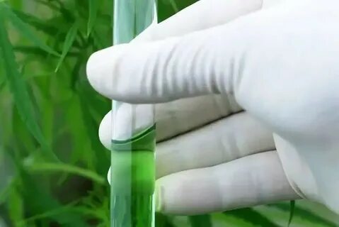 Plant extract