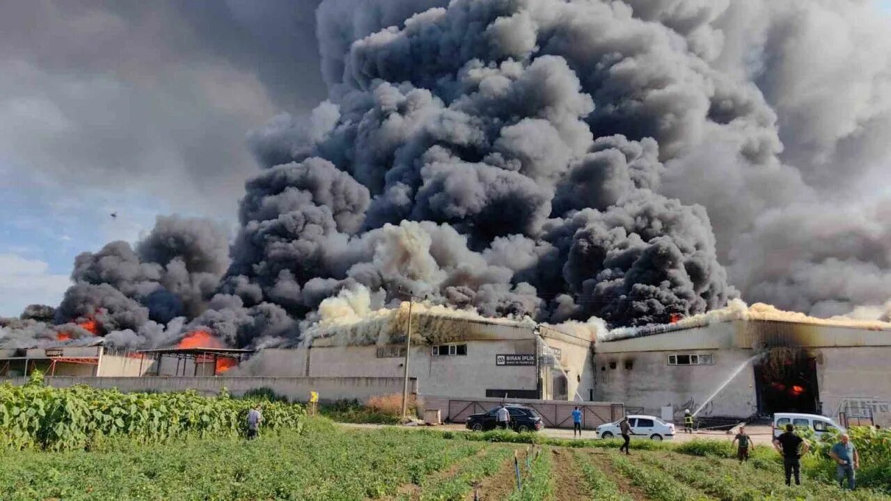 3 августа 2023 пожар в армении. Молвест завод по переработке молочной сыворотки. 10 фабрик. Ао чистовье ногинск. 10 фабрик.