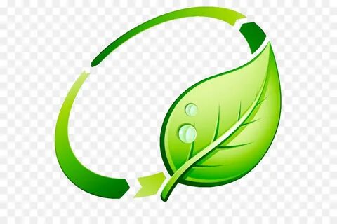 Other leaf