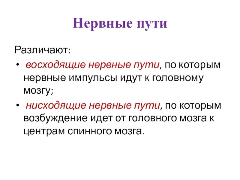 Нисходящий нервный путь. Различают нервные пути по которым. Нервные пути по которым нервные импульсы идут к головному мозгу. По восходящим нервным путям нервные импульсы идут к головному. По восходящим нервным путям импульсы идут.