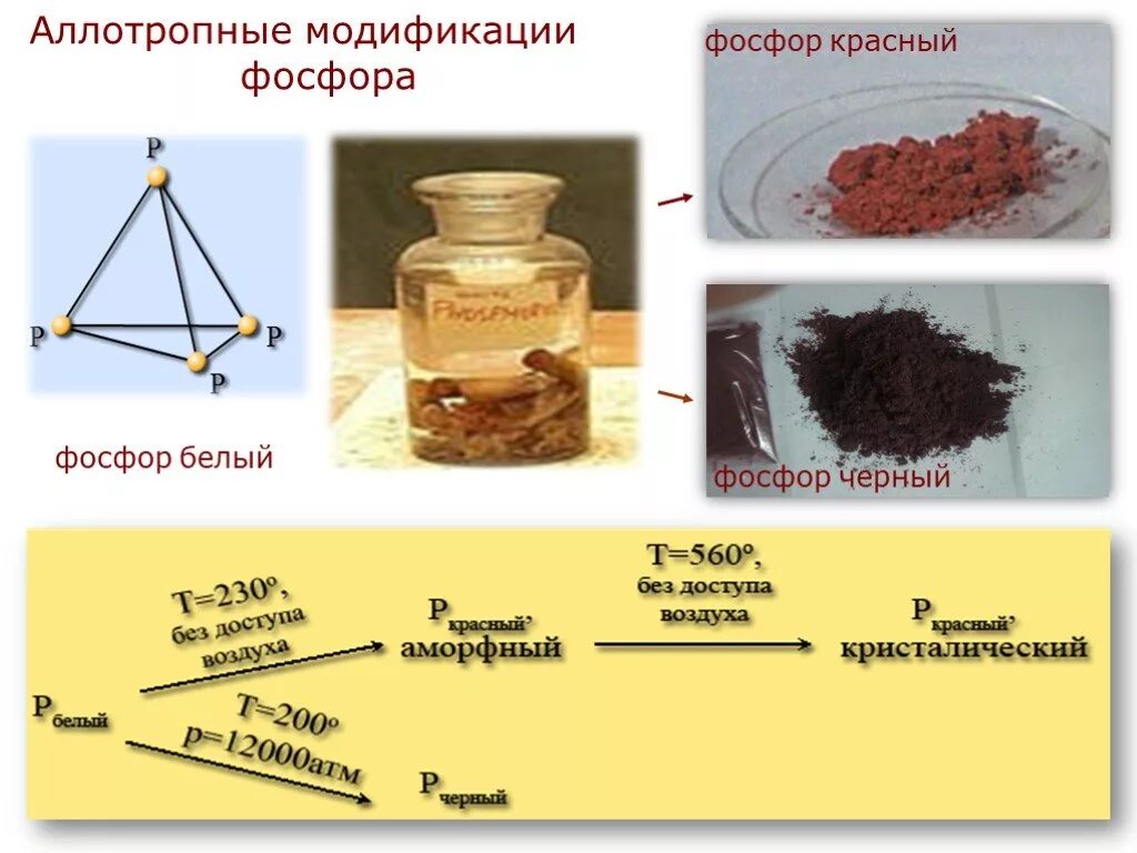 К каким элементам относится фосфор. Аллотропные видоизменения фосфора белый красный черный. аллотропные модификации фосфора белый красный черный. аллотропные модификаторы фосфора. аллотропные видоизменения черного фосфора.