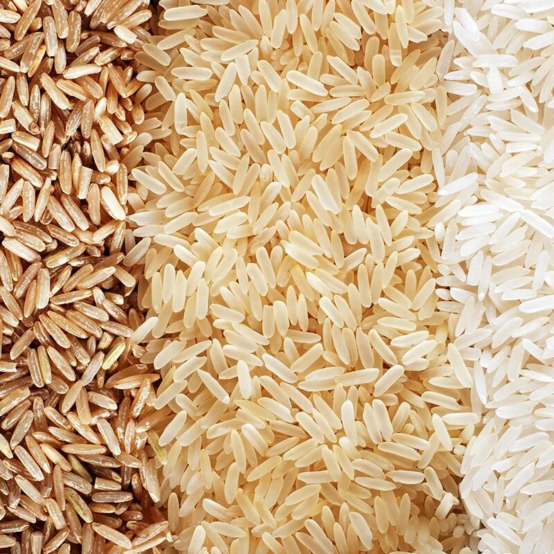 Many rice. Рис. Рисовая крупа. Воск рисовых отрубей. Рис бывает.
