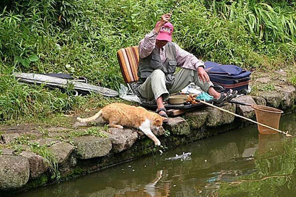 Кот Рыбак. Приколы на рыбалке. Коты на рыбалке. Смешной кот на рыбалке. Приятеля на рыбалку