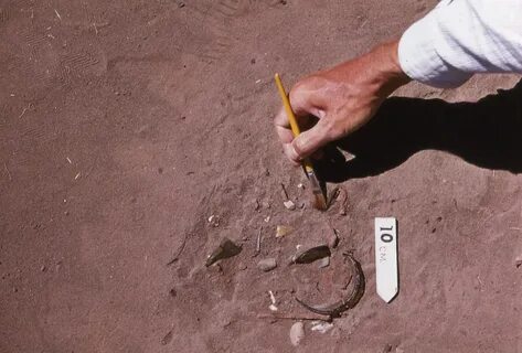 Dig after