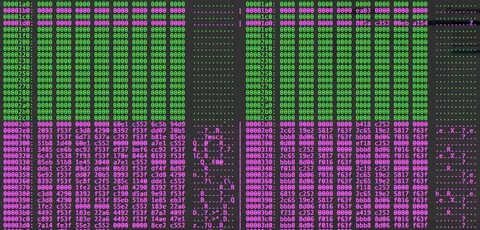Linux бинарный файл