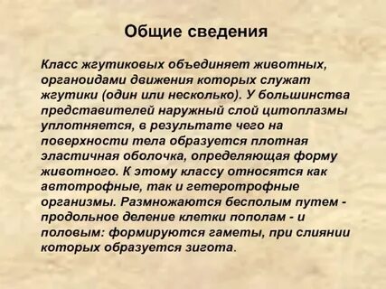 Краткие сведения о классе