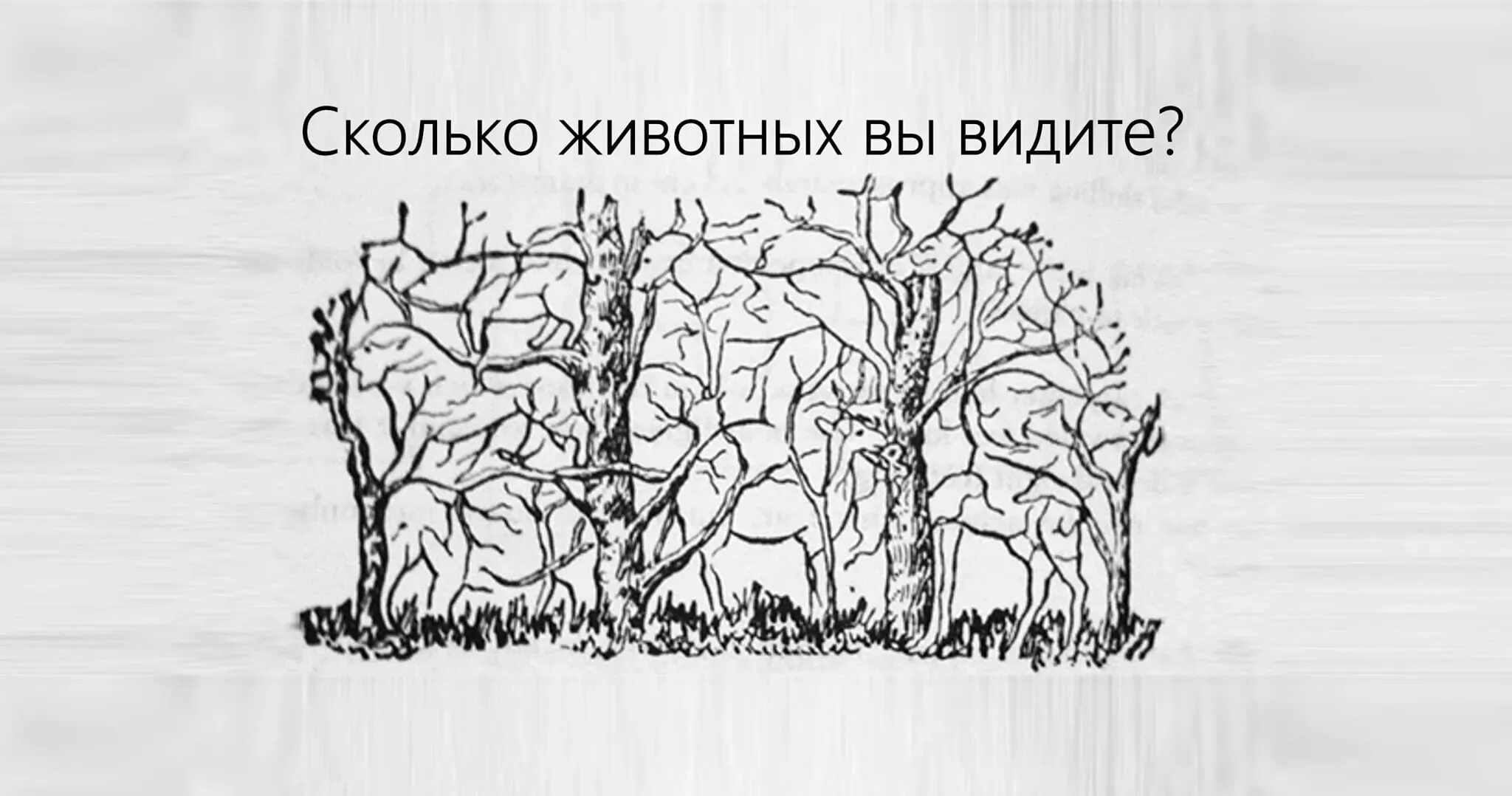 Сколько 2 ты видишь. Животные спрятались. Головоломки Найди на картинке. Картины на внимательность. Головоломка сколько животных на картинке.