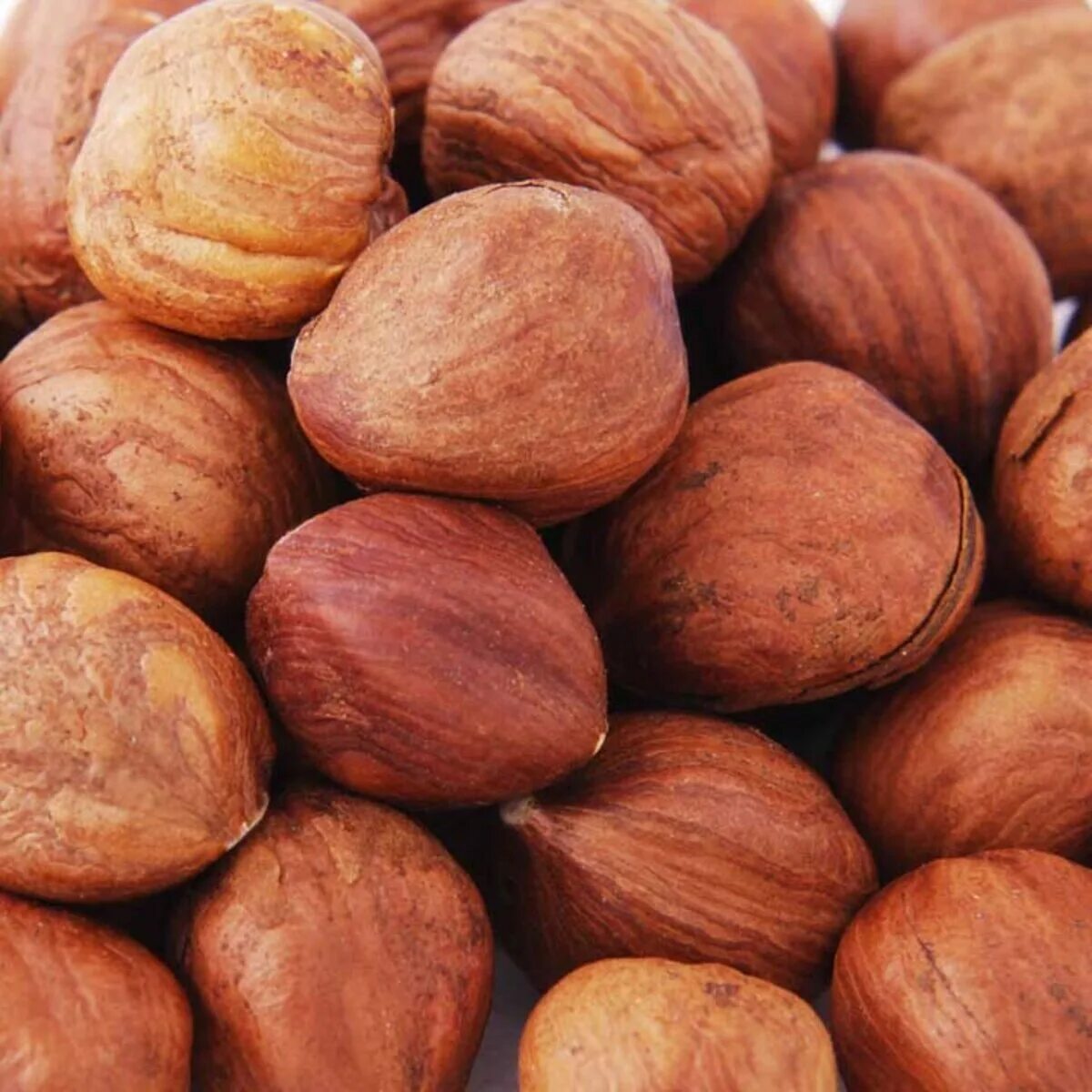 Лесной орех продолговатый. Макадамия калибр а5. Орех макадамия австралийский. Фундук (лесной орех). Макадамия в скорлупе 1кг.