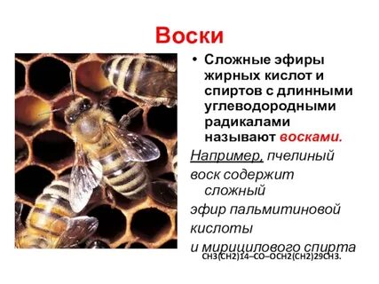 Воски сложные эфиры