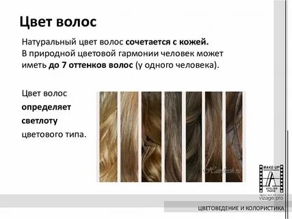 Какие естественные цвета волос