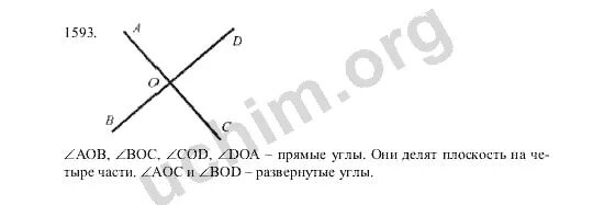 2 прямые делят плоскость на сколько части. 2 Прямые делят плоскость на. Математика 5 класс номер 1593. С помощью чертёжного треугольника начертите две. Математика 5 класс Виленкин угол прямой и развернутый задания.