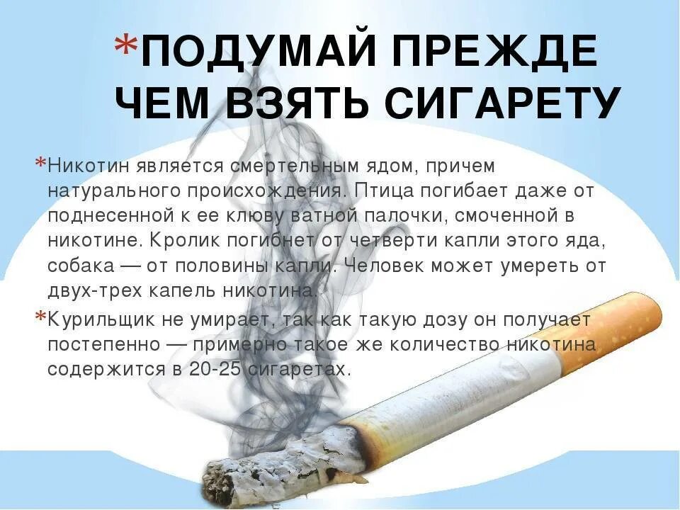 Брошу курить не навсегда. Сигареты без табака. Бросить курить. Как можно бросить курить.