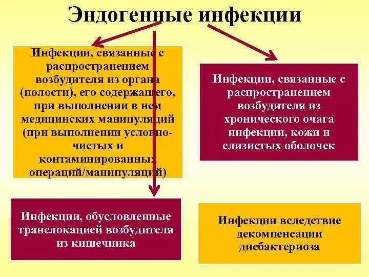 Пути распространения инфекций в лечебных учреждениях. Эндогенный путь передачи инфекции. эндогенный путь инфицирования исмп. пути распространения эндогенной инфекции. пути распространения исмп эндогенные.