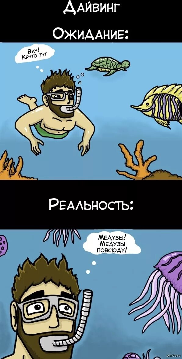 Тот факт что медуза выжила 650. Медуза в очках. Веселые медузы. Смешная медуза. Смешная медуза.