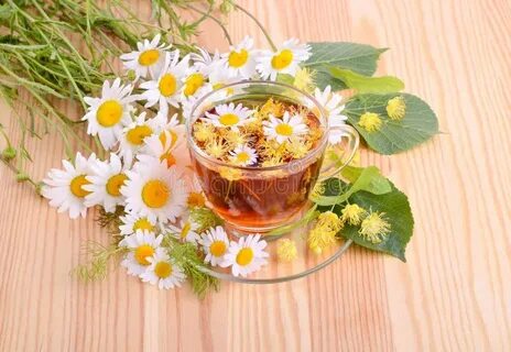 Чаем ромашково