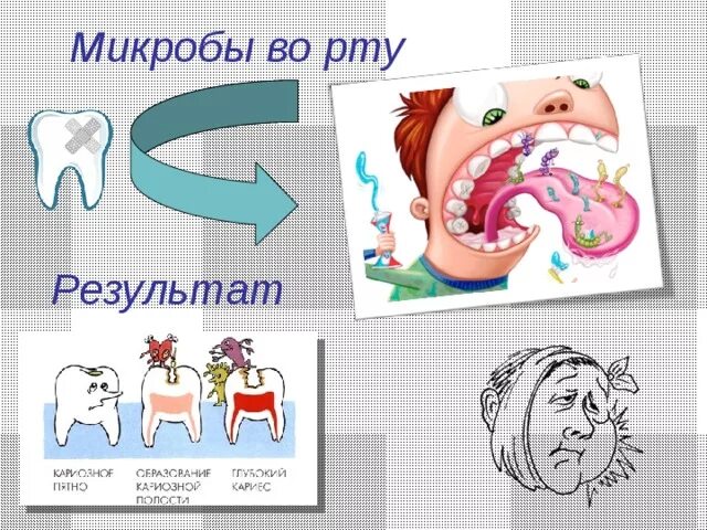 Бактерии ротовой полости. Сколько бактерий во рту