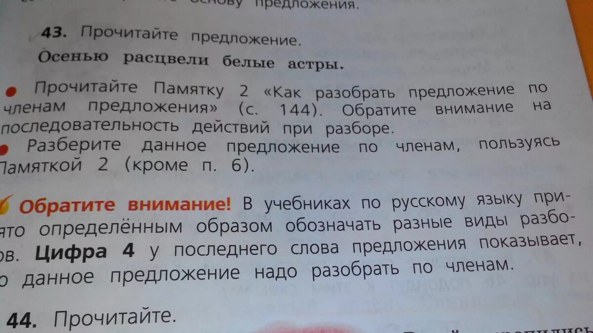 Разбор слова зацветает. Разбери предложение осенью расцвели белые астры. Осенью расцвели белые астры разобрать предложение.