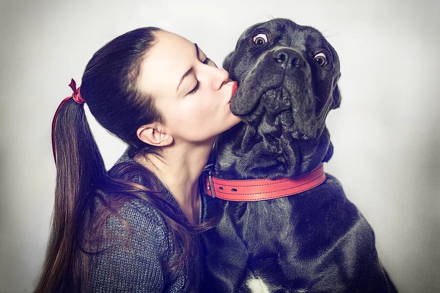 Моя собачка стоит дороже тебя песня. Фотосессия с собакой. Фотосессия с большой собакой. Кане Корсо и девушка. Красивые фотосессии собак.