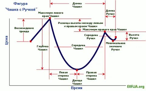 Анализ чашки