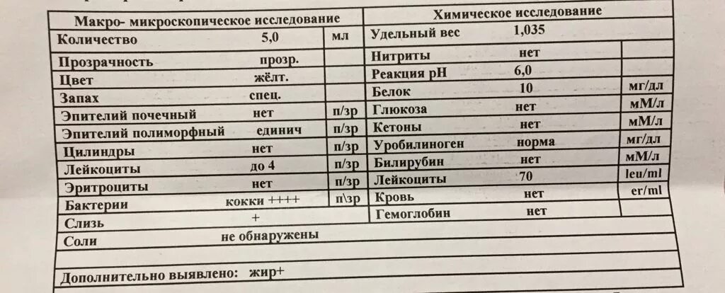 Общий белок у собаки. Анализ мочи у котов расшифровка. Показатели мочи кота расшифровка. Показатели мочи у собак расшифровка норма. Общий анализ мочи у собаки норма и расшифровка.