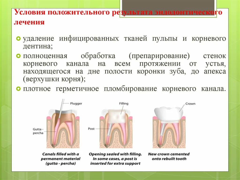 Протокол лечения корневого канала. Протокол обработки корневых каналов. Протокол пломбирования корневых каналов. Медикаментозная обработка корневых каналов. Осложнения эндодонтического лечения